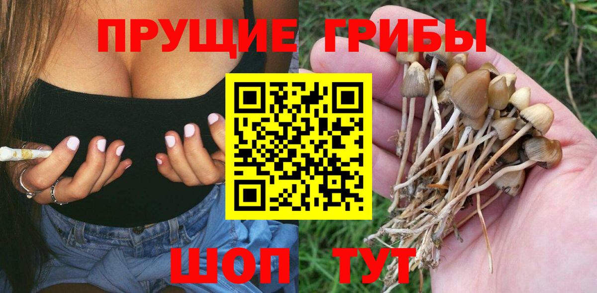 Псилоцибиновые грибы MAGIC MUSHROOMS Первоуральск